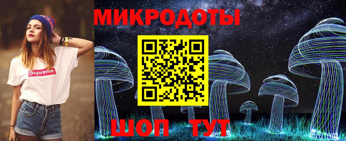 Псилоцибиновые грибы прущие грибы Урус-Мартан